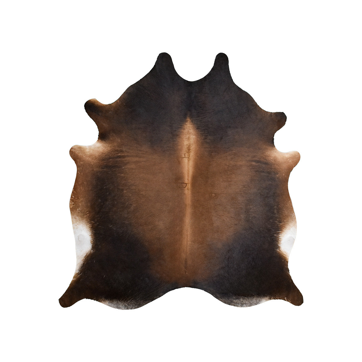 Mahogany Brown Cowhide Rug – 6' 2" x 6' 8"