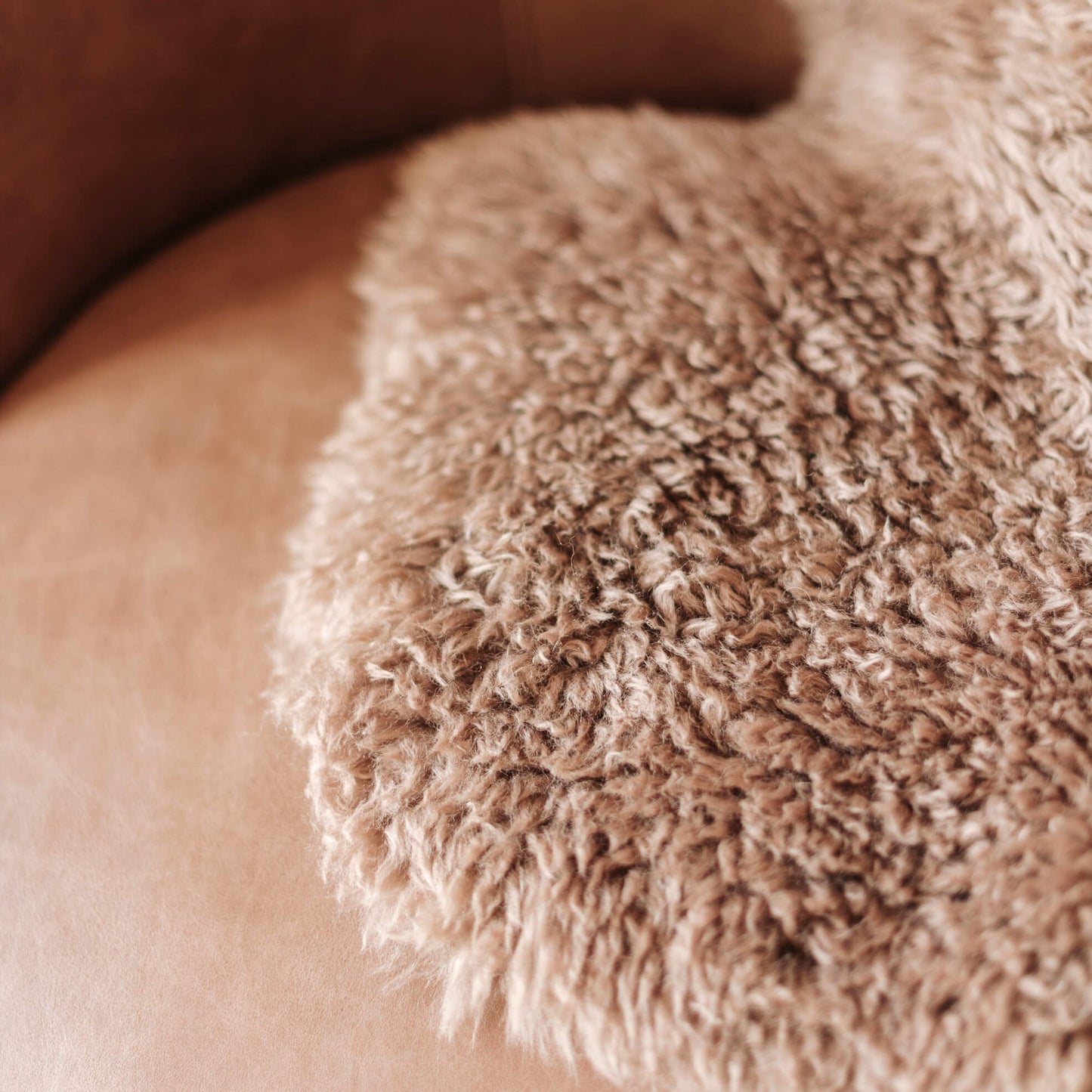 Curly Hair Sheepskin Romney