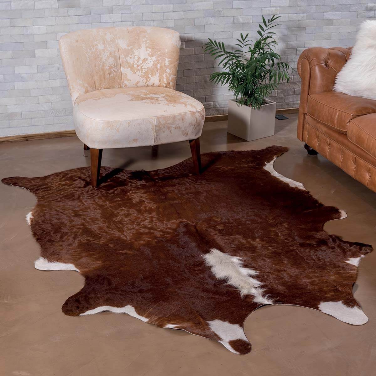 Brown & White Cowhide Rug – 5' x 5'