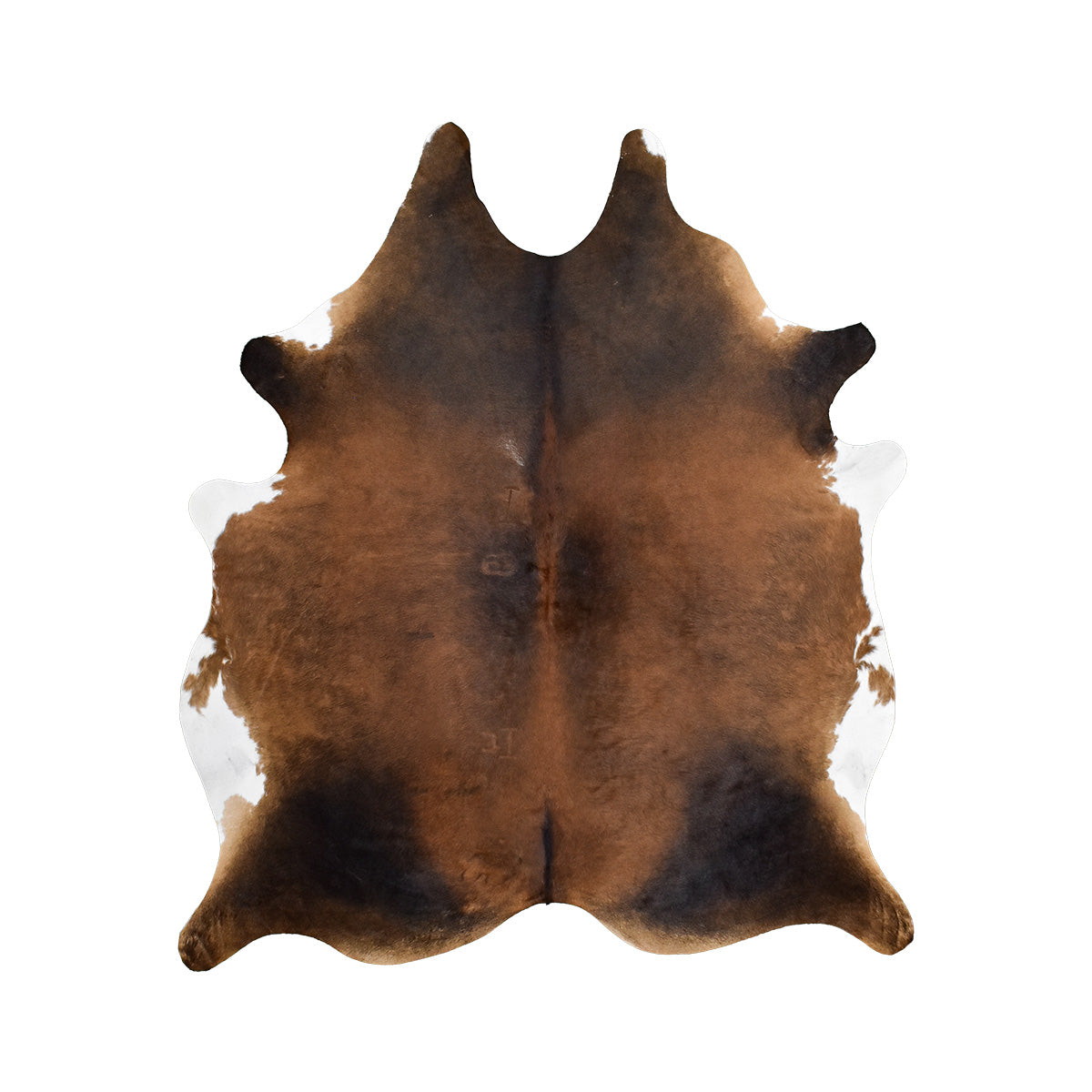 Mahogany Brown Cowhide Rug | 6' 4" x 7' 2" | Argentine Exotic Hide